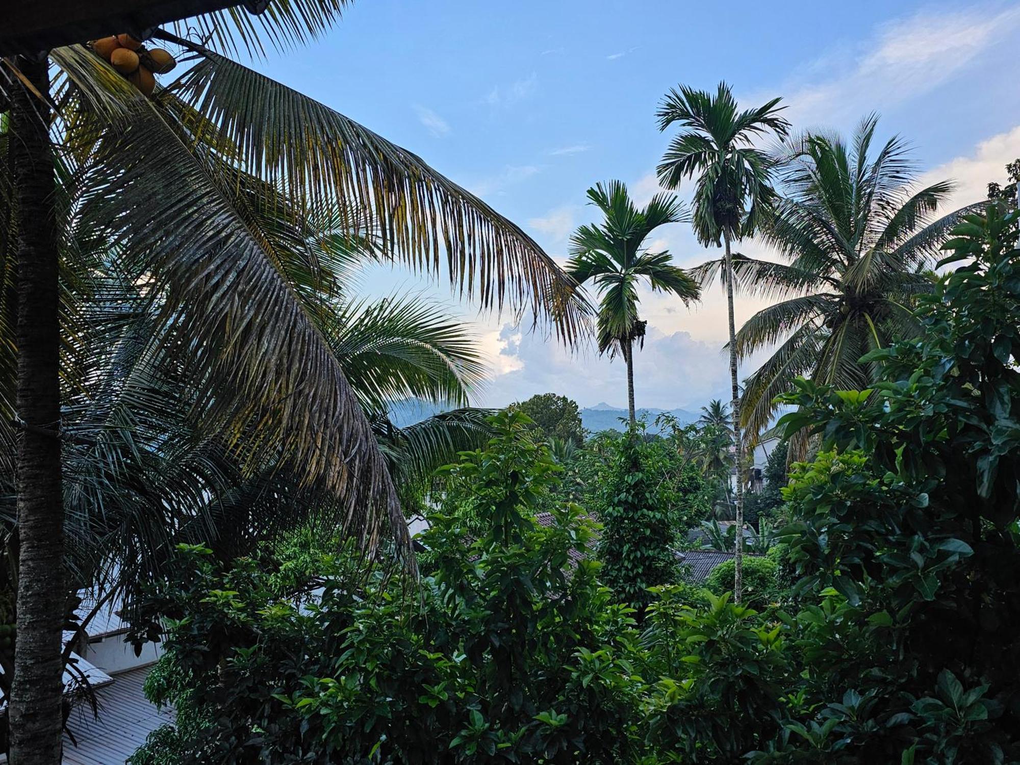 The Lodge Kandy Zewnętrze zdjęcie